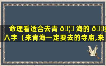 命理看适合去青 🦁 海的 🐧 八字（来青海一定要去的寺庙,来这里感悟天地大美!）